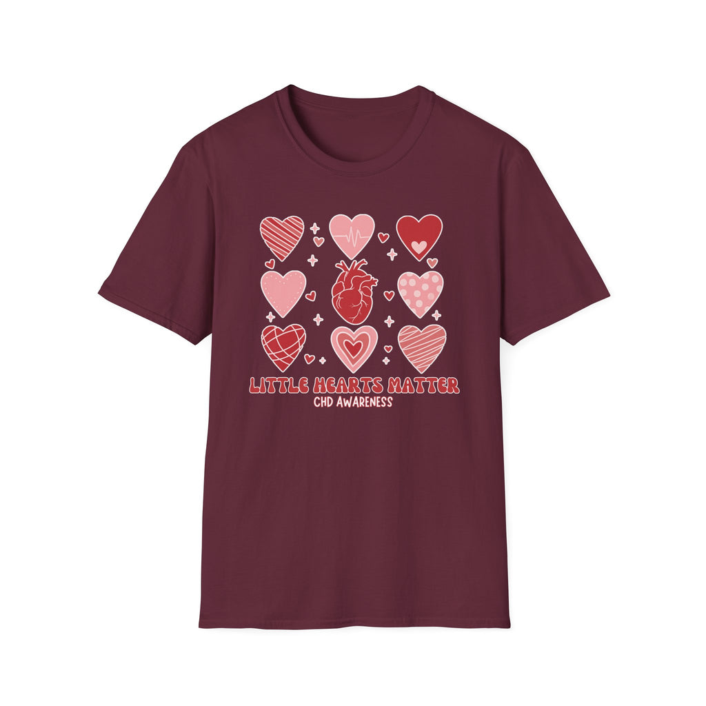 Little Hearts Matter CHD Awareness T-Shirt